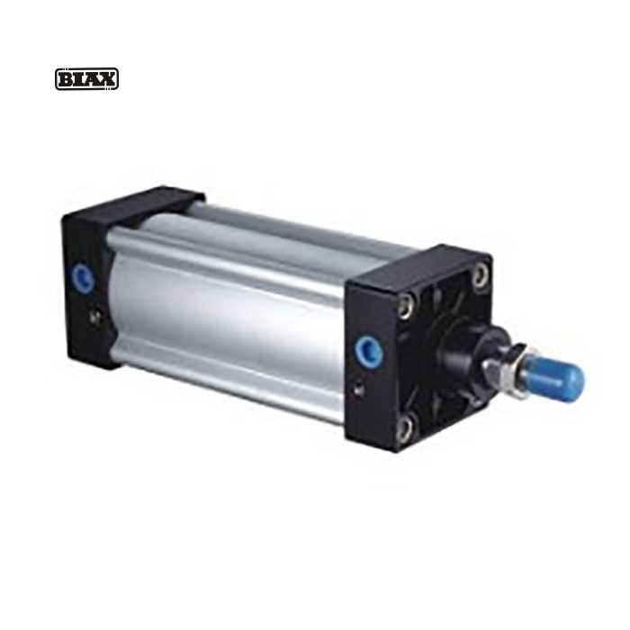 BIAX/巴克斯 BIAX/巴克斯 SI32-250 C14229 SI系列气缸/AT91-100-2030 SI32-250