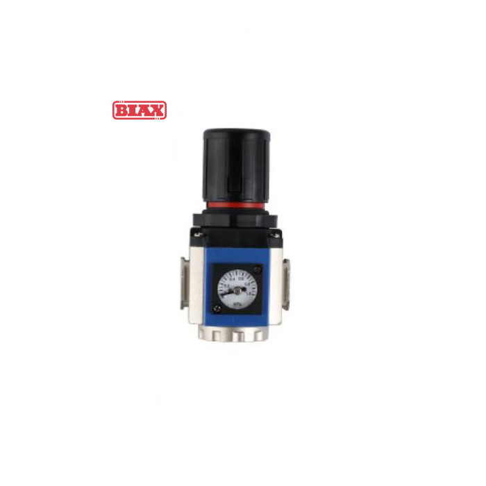 BIAX/巴克斯 BIAX/巴克斯 GR300-08 C15008 巴克斯G系列气源处理元件/AT91-100-2809 GR300-08