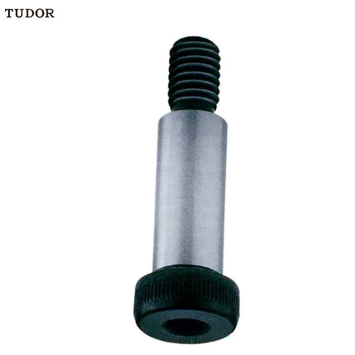 C15226 TUDOR C15226 公制内六角孔塞打螺丝