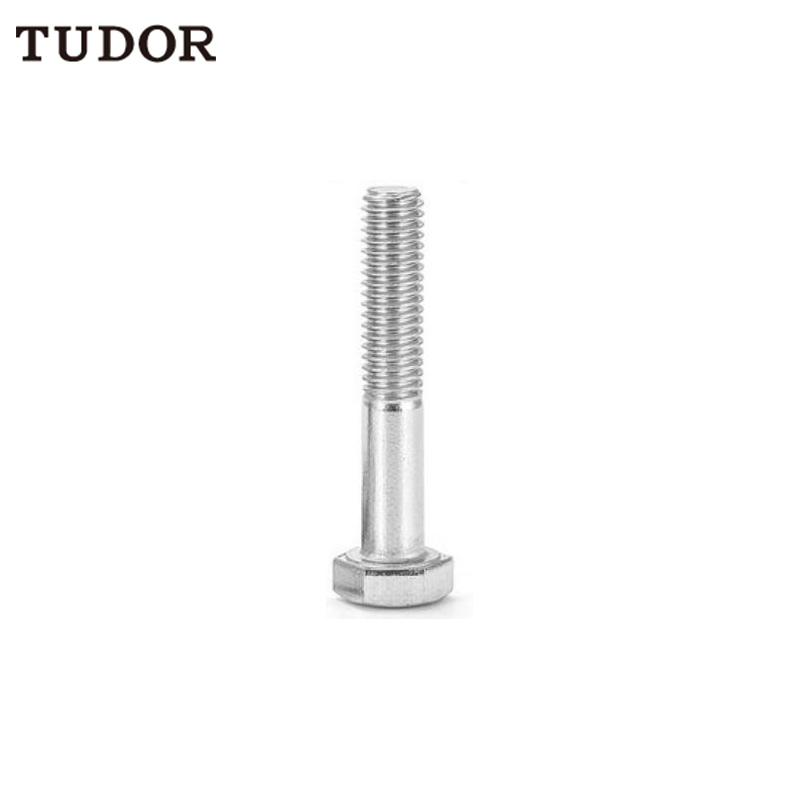 TUDOR C80564 TUDOR C80564 不锈钢 外六角螺丝