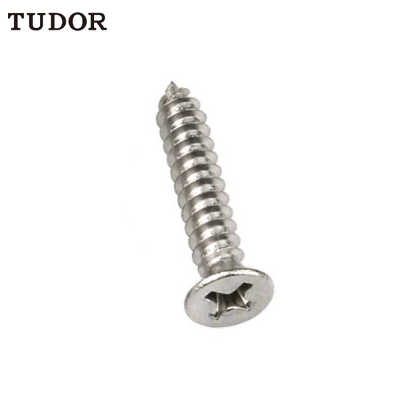 TUDOR TUDOR C84881 不锈钢自攻钉 C84881