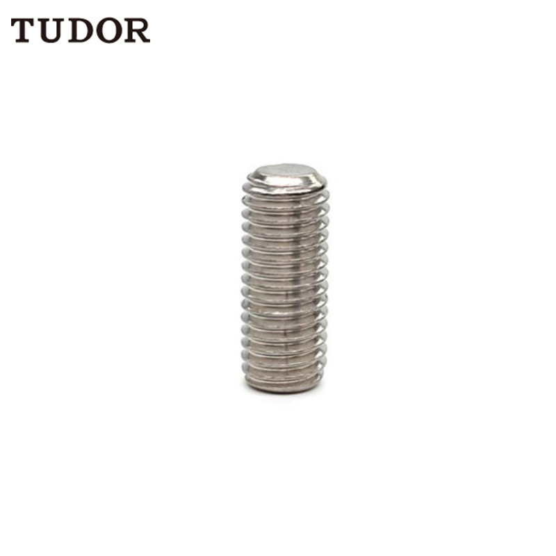 TUDOR TUDOR C85491 不锈钢紧定螺钉  C85491