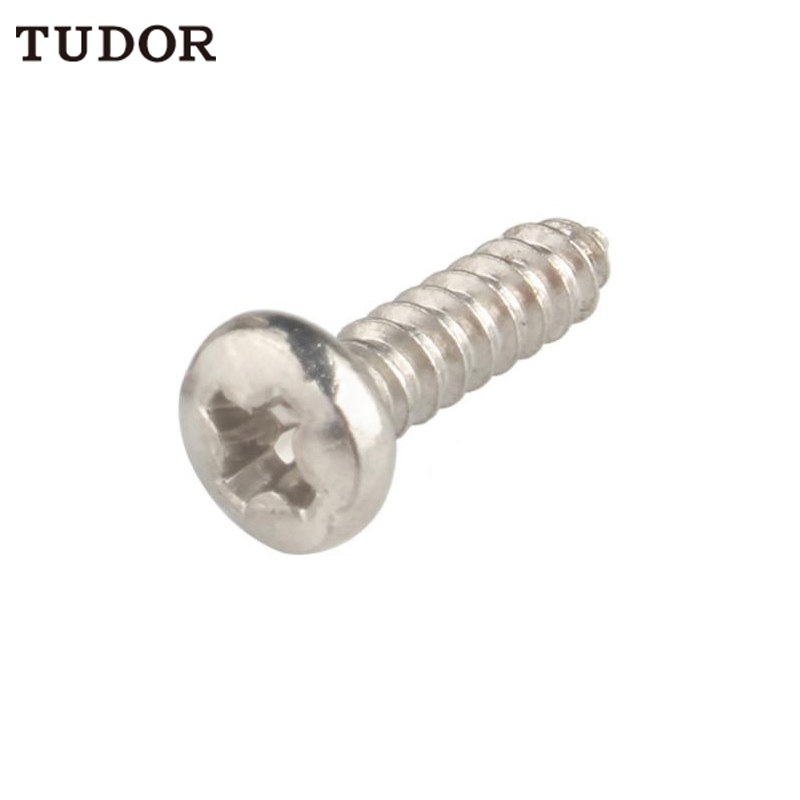 TUDOR/帝都 TUDOR/帝都 2T5695 C84695 不锈钢自攻钉 2T5695